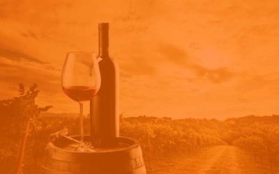 Nueva Ruta del Vino